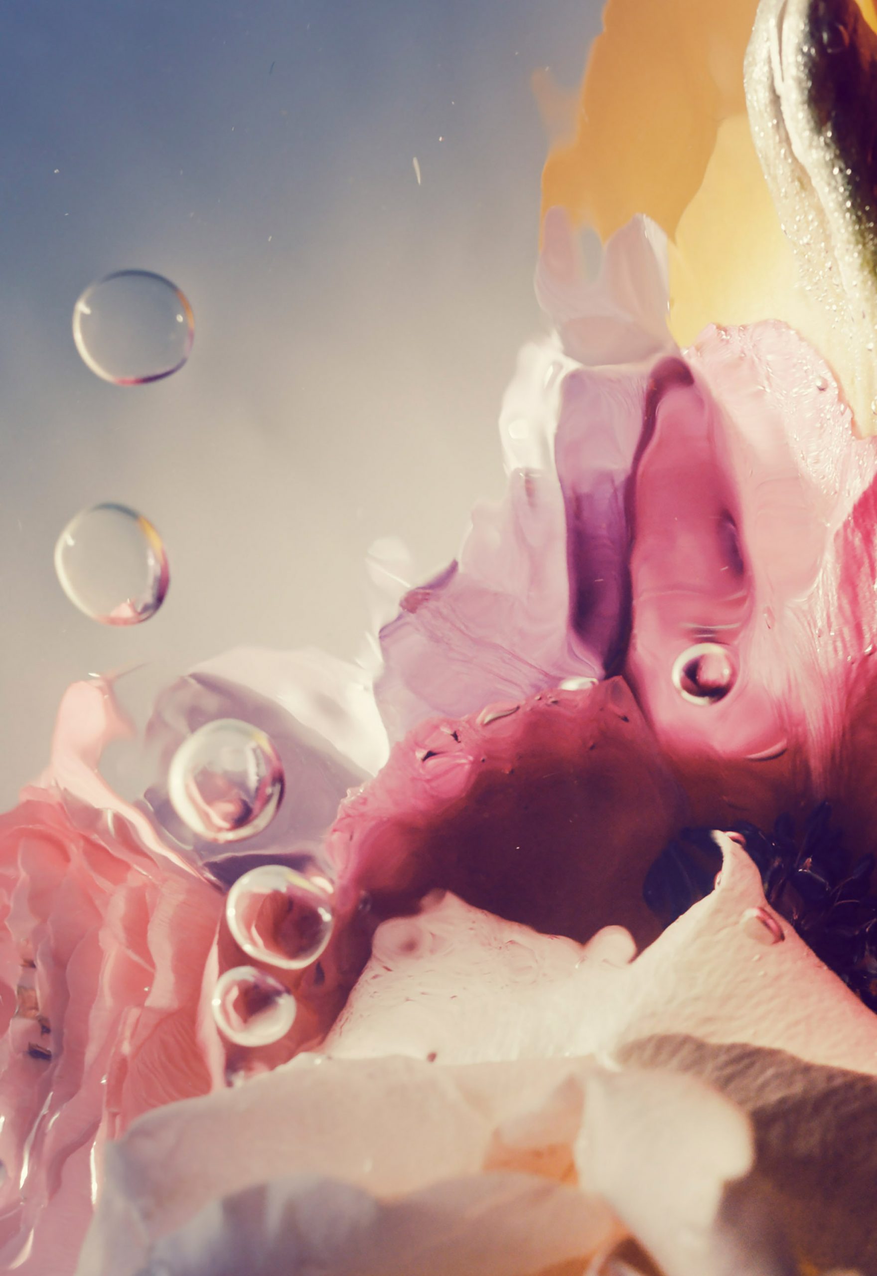 Kai-Uwe Gundlach - Duravit Flower