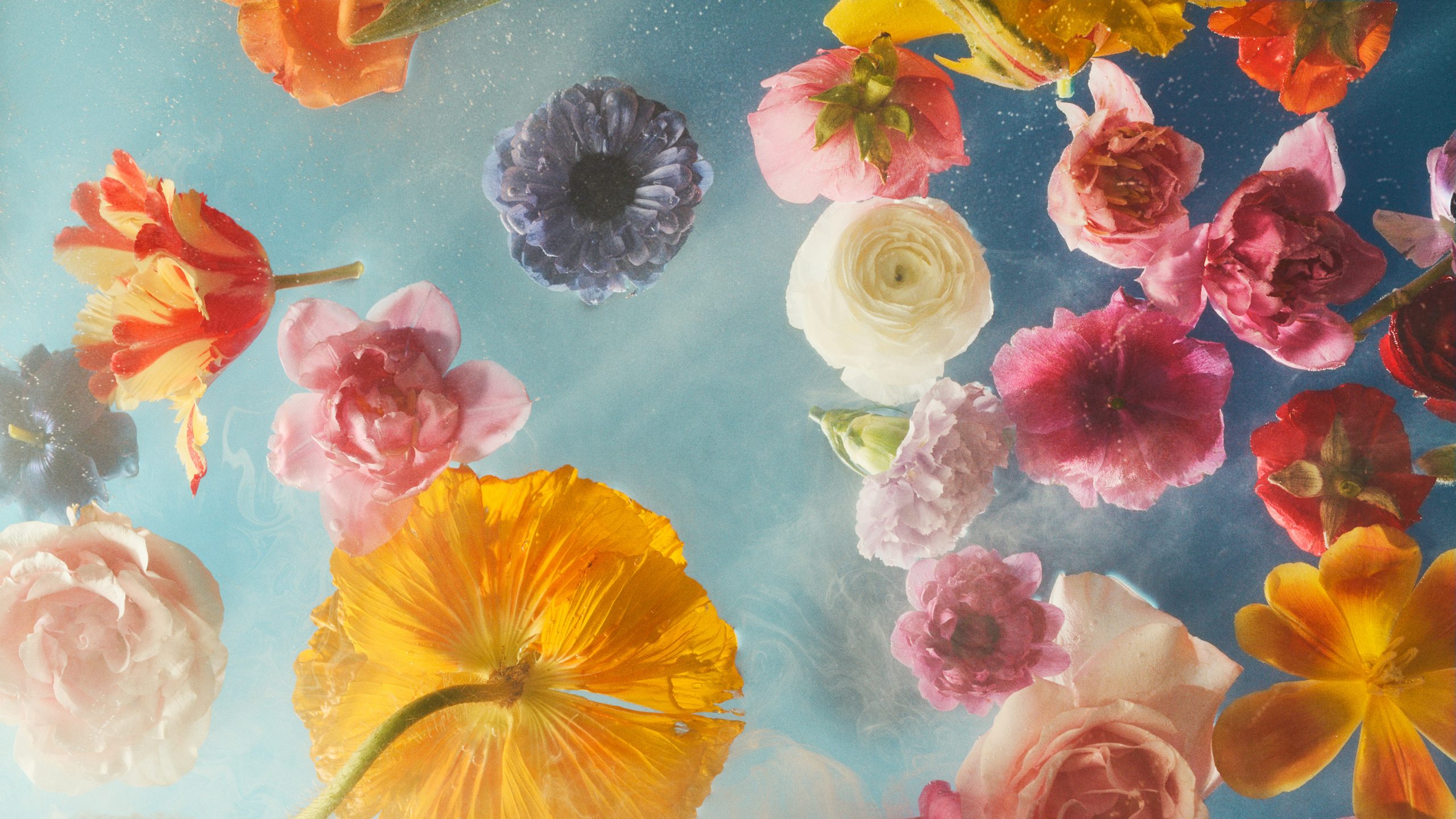 Kai-Uwe Gundlach - Duravit Flower