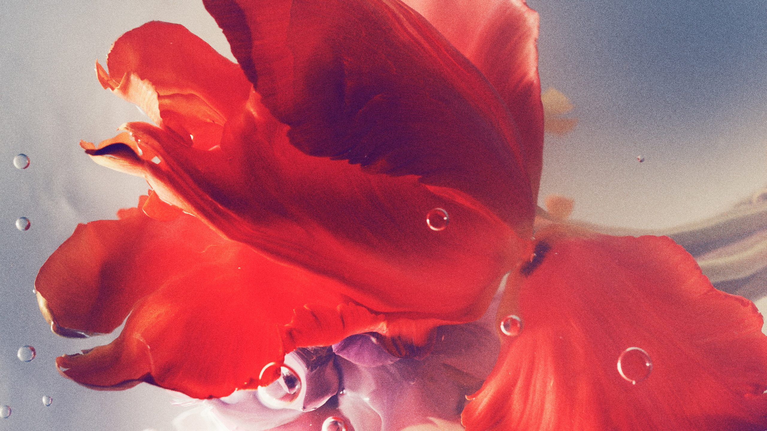 Kai-Uwe Gundlach - Duravit Flower