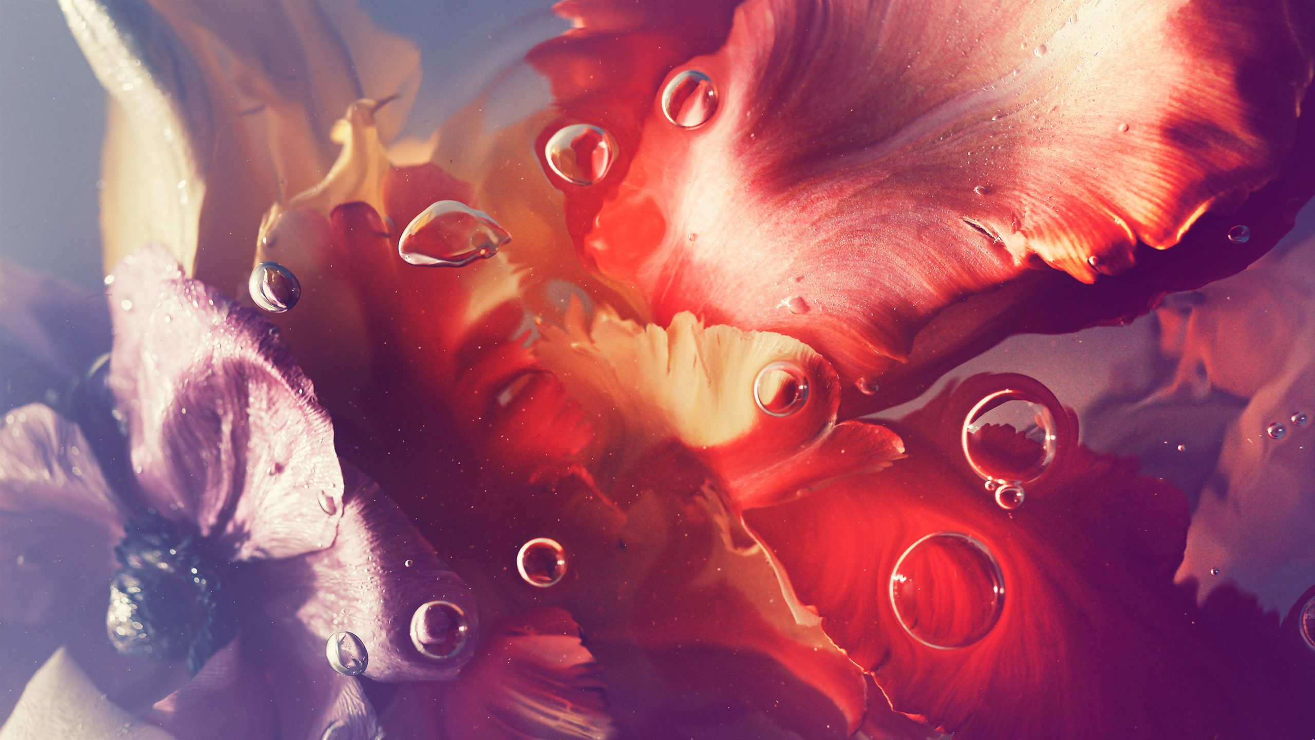 Kai-Uwe Gundlach - Duravit Flower